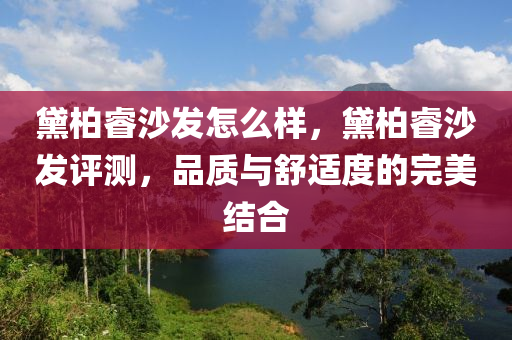 黛柏睿沙发怎么样，黛柏睿沙发评测，品质与舒适度的完美结合