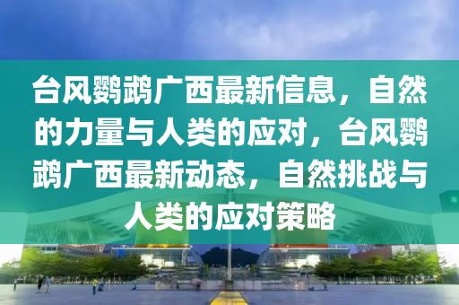 台风鹦鹉广西最新信息，自然的力量与人类的应对，台风鹦鹉广西最新动态，自然挑战与人类的应对策略