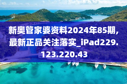 新奥管家婆资料2024年85期,最新正品关注落实_iPad229.123.220.43