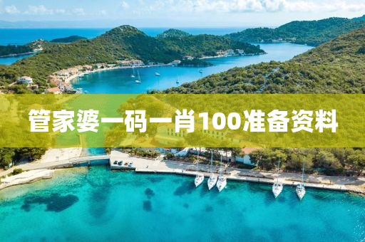 管家婆一码一肖100准备资料