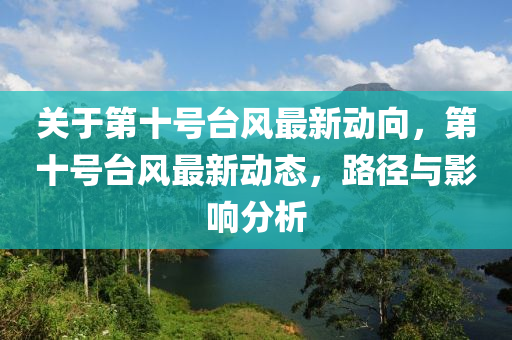 关于第十号台风最新动向，第十号台风最新动态，路径与影响分析