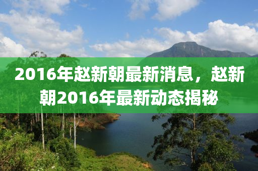 2016年赵新朝最新消息，赵新朝2016年最新动态揭秘