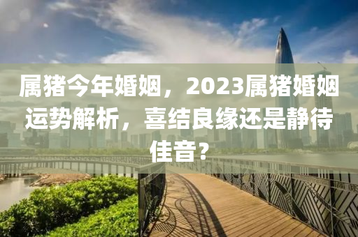 属猪今年婚姻，2023属猪婚姻运势解析，喜结良缘还是静待佳音？