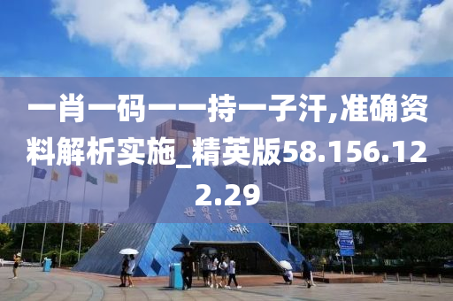 一肖一码一一持一子汗,准确资料解析实施_精英版58.156.122.29