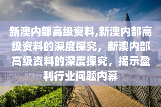 新澳内部高级资料,新澳内部高级资料的深度探究，新澳内部高级资料的深度探究，揭示盈利行业问题内幕