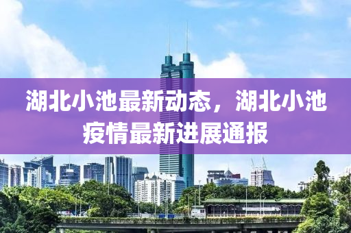 湖北小池最新动态，湖北小池疫情最新进展通报