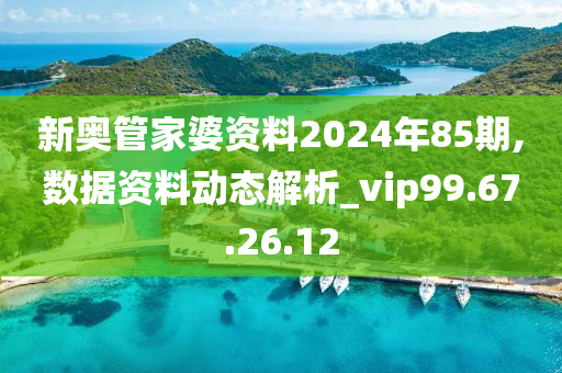 新奥管家婆资料2024年85期,数据资料动态解析_vip99.67.26.12