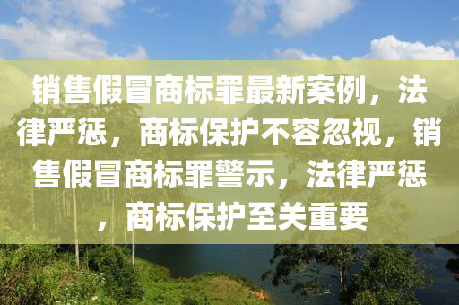 销售假冒商标罪最新案例，法律严惩，商标保护不容忽视，销售假冒商标罪警示，法律严惩，商标保护至关重要