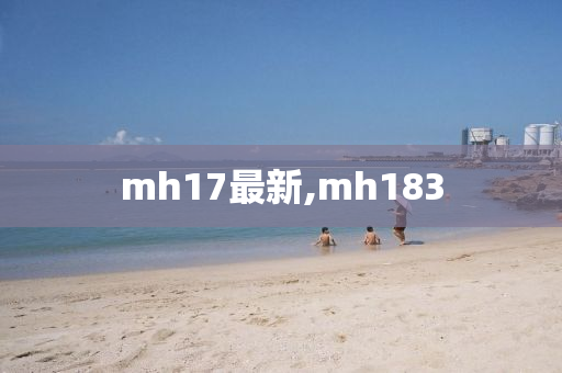 mh17最新,mh183