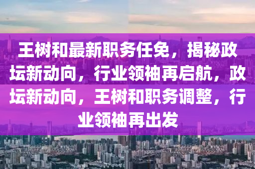 王树和最新职务任免，揭秘政坛新动向，行业领袖再启航，政坛新动向，王树和职务调整，行业领袖再出发