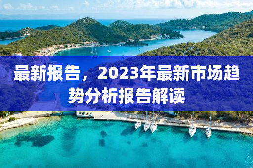 最新报告，2023年最新市场趋势分析报告解读