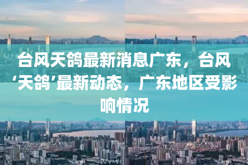 台风天鸽最新消息广东，台风‘天鸽’最新动态，广东地区受影响情况