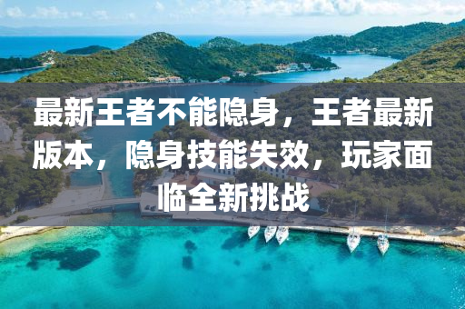 最新王者不能隐身，王者最新版本，隐身技能失效，玩家面临全新挑战