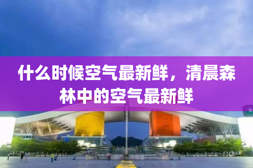 什么时候空气最新鲜，清晨森林中的空气最新鲜