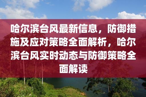 哈尔滨台风最新信息，防御措施及应对策略全面解析，哈尔滨台风实时动态与防御策略全面解读