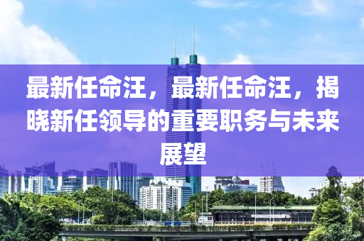 最新任命汪，最新任命汪，揭晓新任领导的重要职务与未来展望