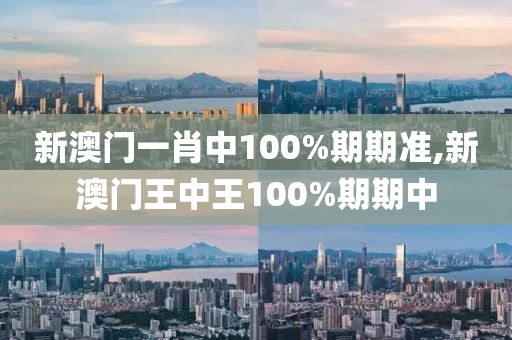 新澳门一肖中100%期期准,新澳门王中王100%期期中