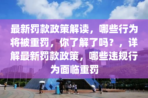 最新罚款政策解读，哪些行为将被重罚，你了解了吗？，详解最新罚款政策，哪些违规行为面临重罚