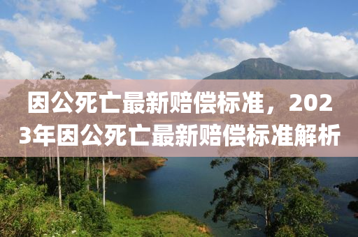 因公死亡最新赔偿标准，2023年因公死亡最新赔偿标准解析