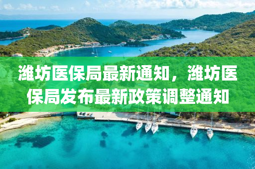 潍坊医保局最新通知，潍坊医保局发布最新政策调整通知