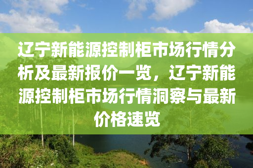 辽宁新能源控制柜市场行情分析及最新报价一览，辽宁新能源控制柜市场行情洞察与最新价格速览