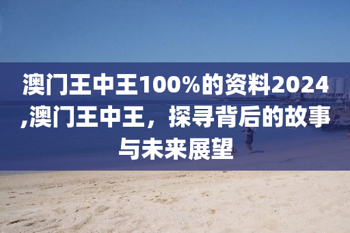 澳门王中王100%的资料2024,澳门王中王，探寻背后的故事与未来展望