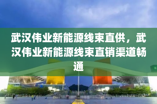 武汉伟业新能源线束直供，武汉伟业新能源线束直销渠道畅通