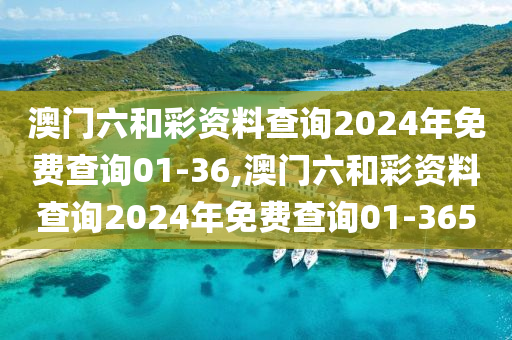 澳门六和彩资料查询2024年免费查询01-36,澳门六和彩资料查询2024年免费查询01-365