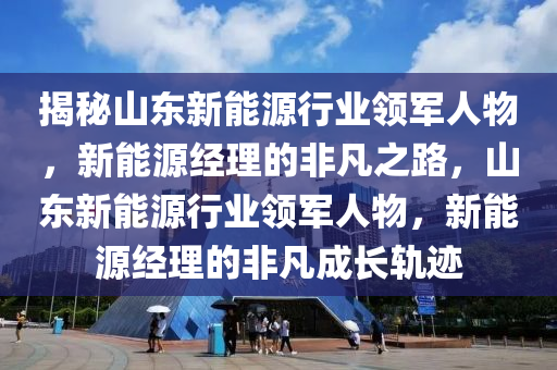 揭秘山东新能源行业领军人物，新能源经理的非凡之路，山东新能源行业领军人物，新能源经理的非凡成长轨迹