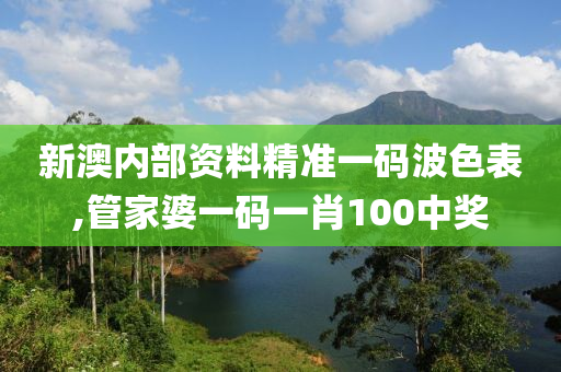 新澳内部资料精准一码波色表,管家婆一码一肖100中奖