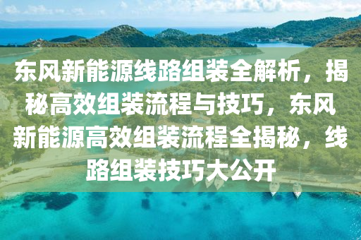 东风新能源线路组装全解析，揭秘高效组装流程与技巧，东风新能源高效组装流程全揭秘，线路组装技巧大公开