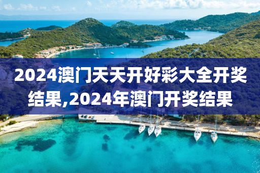 2024澳门天天开好彩大全开奖结果,2024年澳门开奖结果