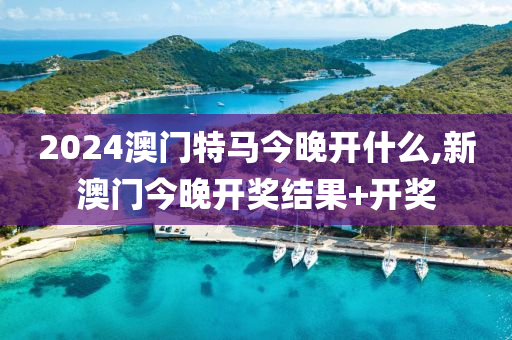 2024澳门特马今晚开什么,新澳门今晚开奖结果+开奖