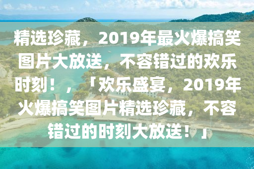 精选珍藏，2019年最火爆搞笑图片大放送，不容错过的欢乐时刻！，「欢乐盛宴，2019年火爆搞笑图片精选珍藏，不容错过的时刻大放送！」