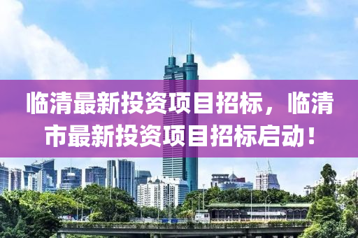 临清最新投资项目招标，临清市最新投资项目招标启动！