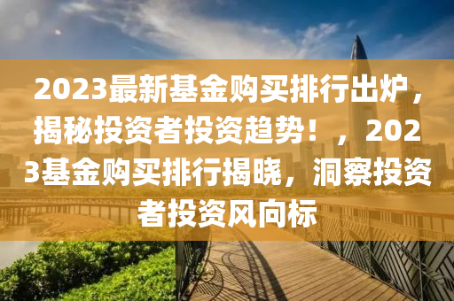 2023最新基金购买排行出炉，揭秘投资者投资趋势！，2023基金购买排行揭晓，洞察投资者投资风向标