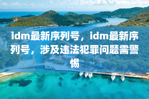 idm最新序列号，idm最新序列号，涉及违法犯罪问题需警惕