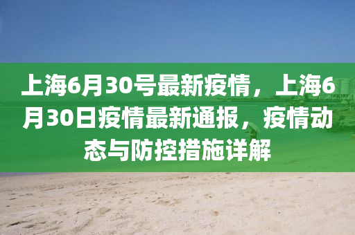 上海6月30号最新疫情，上海6月30日疫情最新通报，疫情动态与防控措施详解