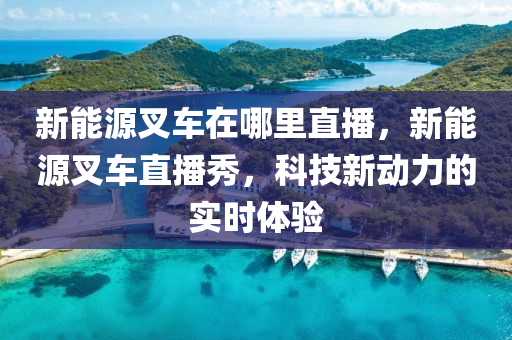 新能源叉车在哪里直播，新能源叉车直播秀，科技新动力的实时体验