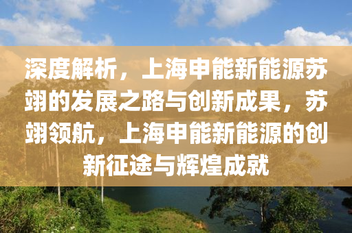 深度解析，上海申能新能源苏翊的发展之路与创新成果，苏翊领航，上海申能新能源的创新征途与辉煌成就