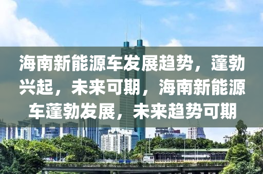 海南新能源车发展趋势，蓬勃兴起，未来可期，海南新能源车蓬勃发展，未来趋势可期