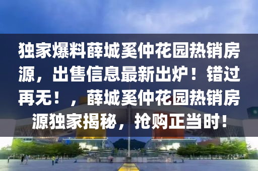 独家爆料薛城奚仲花园热销房源，出售信息最新出炉！错过再无！，薛城奚仲花园热销房源独家揭秘，抢购正当时！