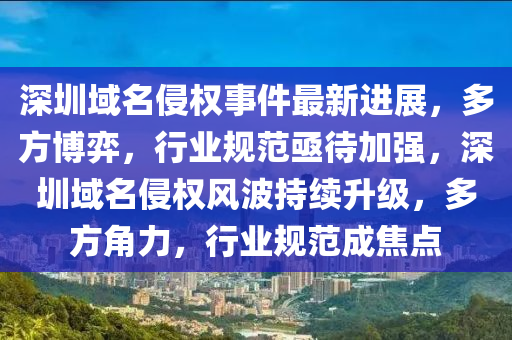 深圳域名侵权事件最新进展，多方博弈，行业规范亟待加强，深圳域名侵权风波持续升级，多方角力，行业规范成焦点