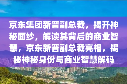 京东集团新晋副总裁，揭开神秘面纱，解读其背后的商业智慧，京东新晋副总裁亮相，揭秘神秘身份与商业智慧解码