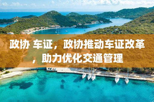 政协 车证，政协推动车证改革，助力优化交通管理