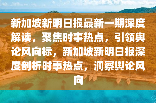 新加坡新明日报最新一期深度解读，聚焦时事热点，引领舆论风向标，新加坡新明日报深度剖析时事热点，洞察舆论风向