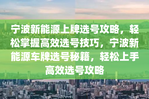 宁波新能源上牌选号攻略，轻松掌握高效选号技巧，宁波新能源车牌选号秘籍，轻松上手高效选号攻略