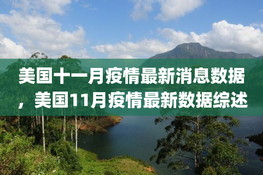 美国十一月疫情最新消息数据，美国11月疫情最新数据综述