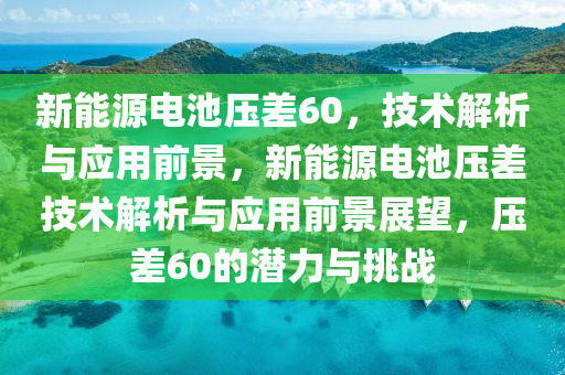 新能源电池压差60，技术解析与应用前景，新能源电池压差技术解析与应用前景展望，压差60的潜力与挑战