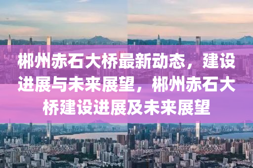 郴州赤石大桥最新动态，建设进展与未来展望，郴州赤石大桥建设进展及未来展望